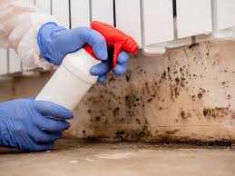 Best Mold Remediation for Vacation Homes  in Youngsville, NC